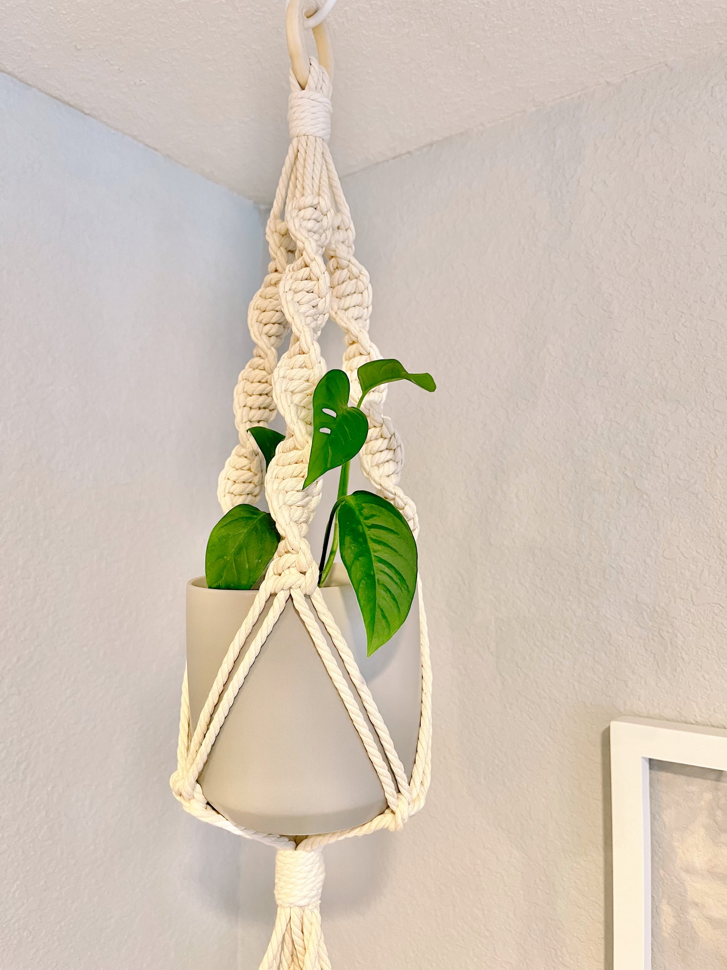 “Rhea” Macramé Dbl Plant Hanger