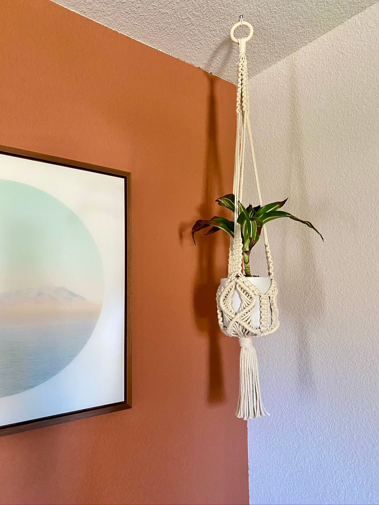 “Aphrodite” Macramé Plant Hanger
